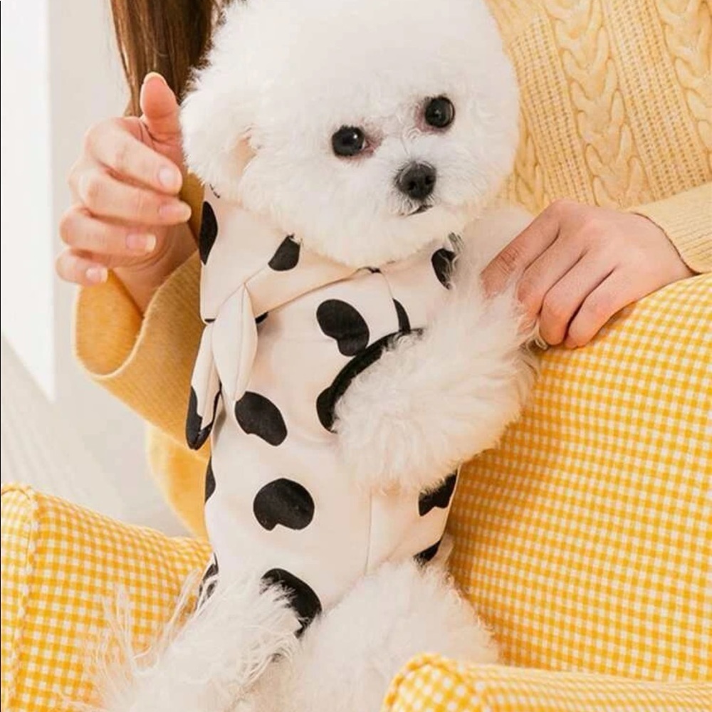 HP 🎉 Cow Pattern Pet Jacket SIZE L - Picture 2 of 8